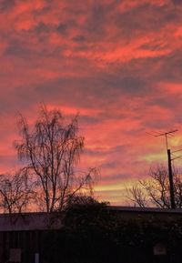 Low angle view of silhouette trees against orange sky