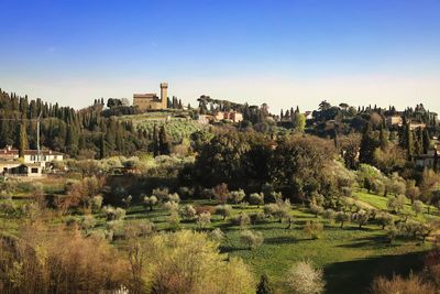 Panoramic view of trees and buildings against clear sky