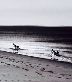 People on beach