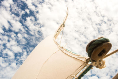 Close-up of insect against sky