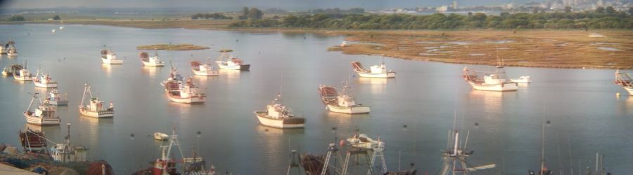 High angle view of boats in lake