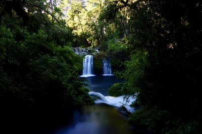 Scenic view of waterfall in forest