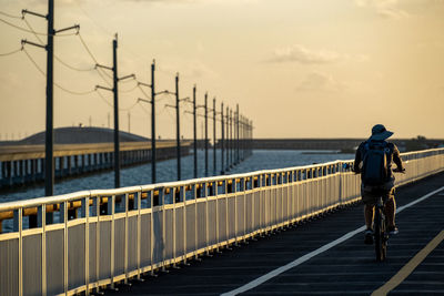 Rear view of man standing on railing against sky