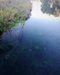 High angle view of lake