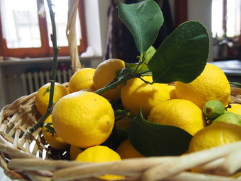 Close-up of fruits in basket