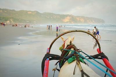 Tourists enjoying at beach