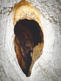 Close-up of cave