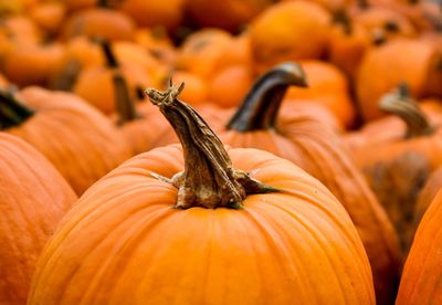 Full frame shot of pumpkins for sale in market