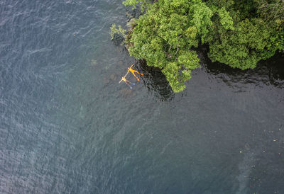 Aerial view of friends swimming in lake