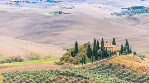 Panoramic view of agricultural field against sky