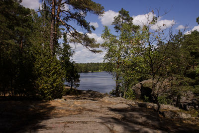 Scenic view of lake amidst trees against sky