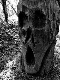 Close-up of sculpture on tree trunk