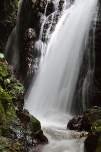 Waterfall in forest