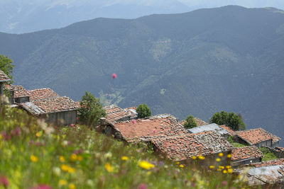 High angle view of houses and buildings in city