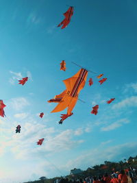 Low angle view of kites flying in sky