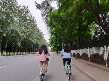 Rear view of people riding bicycle on road