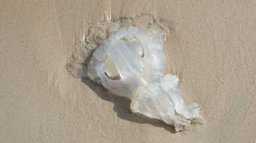 Close-up of sand on beach