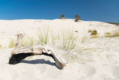 Sand dune in desert against clear blue sky
