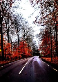 Road amidst trees against sky during autumn