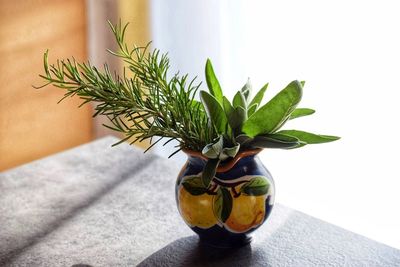 Close-up of potted plant on table