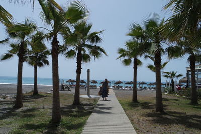 People on palm trees by sea against clear sky