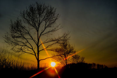 Low angle view of silhouette tree against sky during sunset