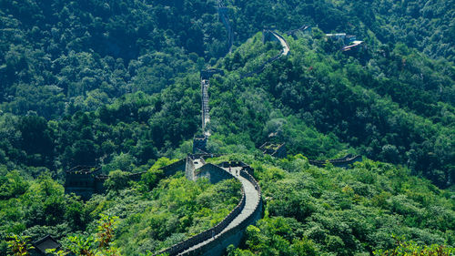 High angle view of road amidst trees in forest