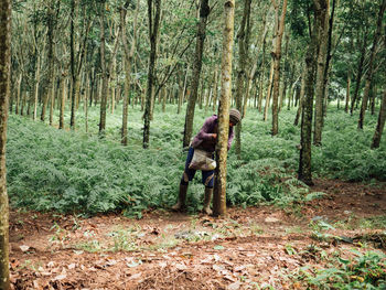 Man standing by tree trunk in forest