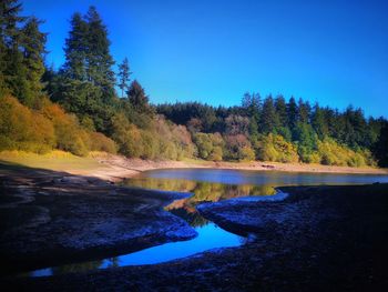 Scenic view of lake in forest against clear blue sky