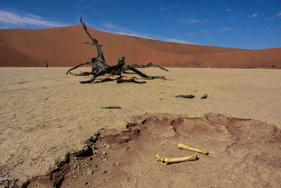 Sand dunes in desert