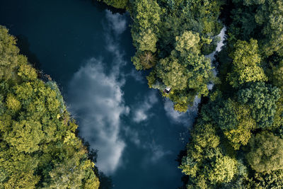 Top down picture from a lush green forest landscape with a lake that is reflecting the clouds