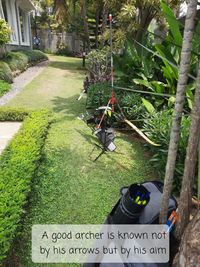 High angle view of text on plant in garden