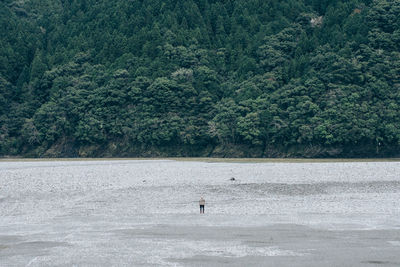 People standing in water