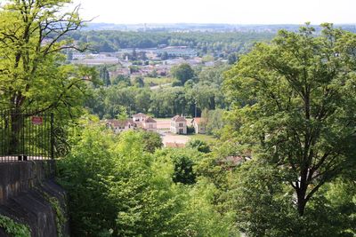 Trees and townscape against sky
