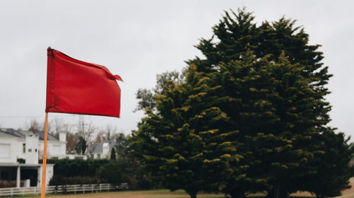 Close-up of flag against trees