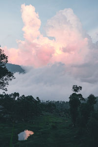 Scenic view of landscape against sky during sunset