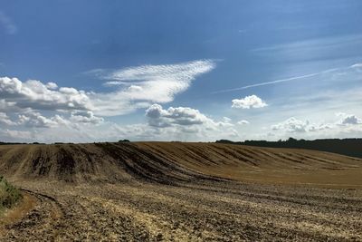 Scenic view of field against sky