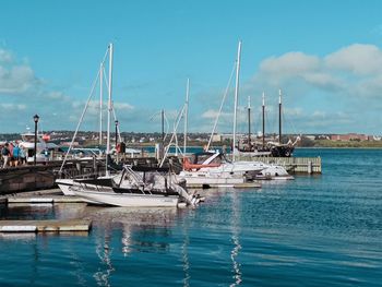 Sailboats moored in harbor