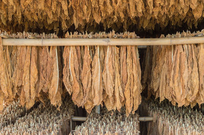 Full frame shot of wooden roof and building