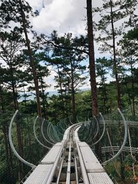 Bridge amidst trees in forest against sky