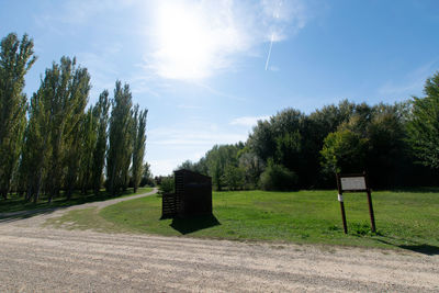 Trees on field against sky