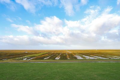 Scenic view of field against sky