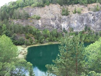 Scenic view of river flowing through rocks in forest