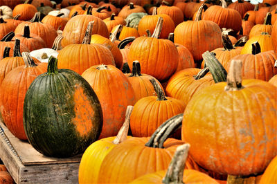 Pumpkins for sale at market stall