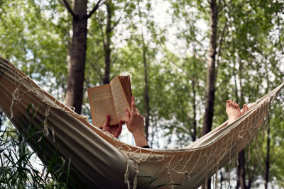 Rear view of woman standing in forest