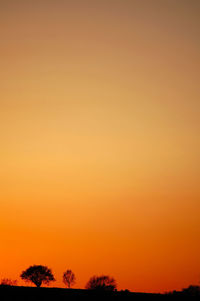 Silhouette trees against orange sky
