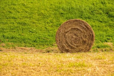 Hay bales on field