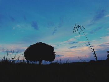 Silhouette trees on field against sky at sunset