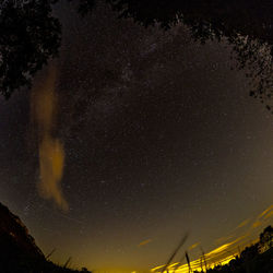 Low angle view of star field against sky at night