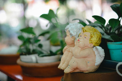 Close-up of stuffed toy on potted plant